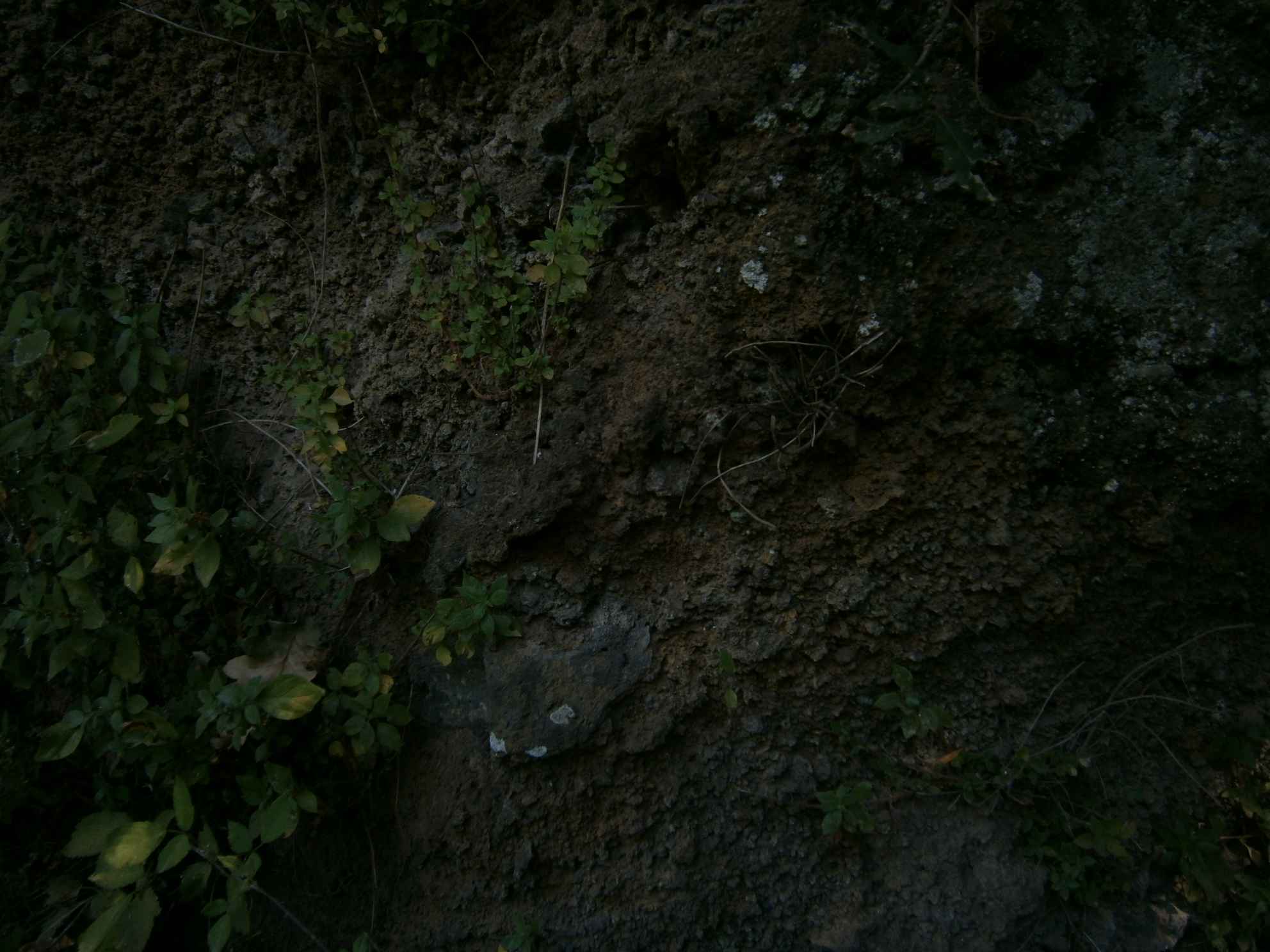Roccamonfina